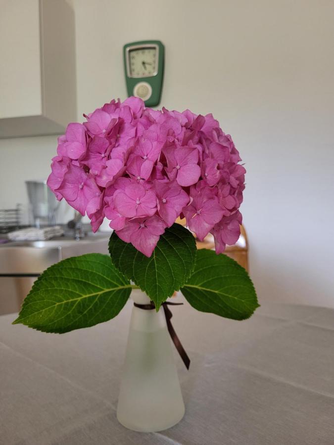Ferienwohnung Sonnenschein Obernkirchen Екстер'єр фото
